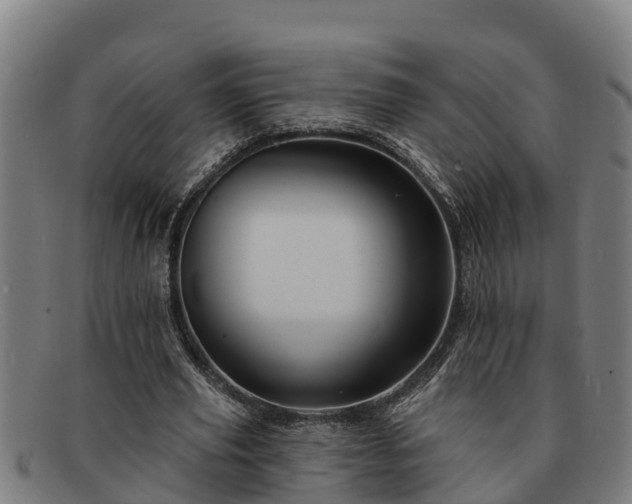 X0000091720629200708311139