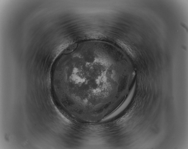 X0000091720630200708311139