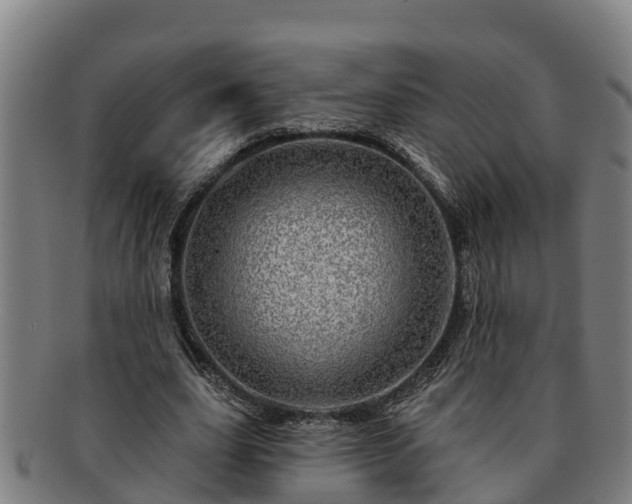 X0000091720631200708311139