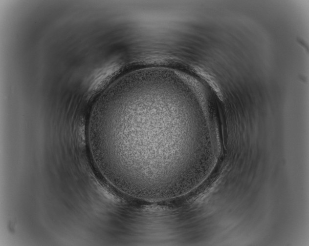 X0000091720633200708311139