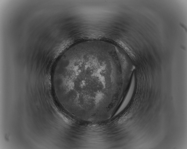 X0000091720634200708311139