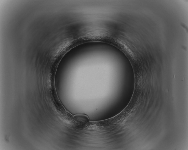 X0000091720635200708311139