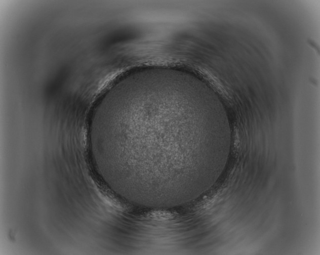 X0000091720636200708311139