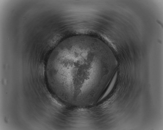 X0000091720637200708311139