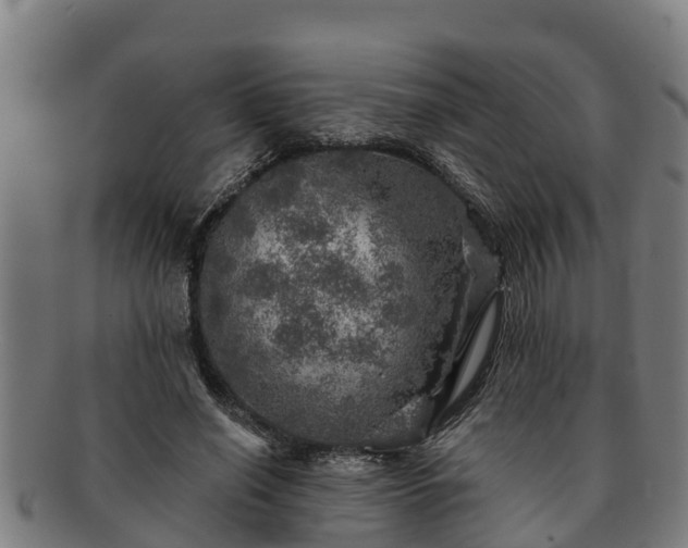 X0000091720638200708311139