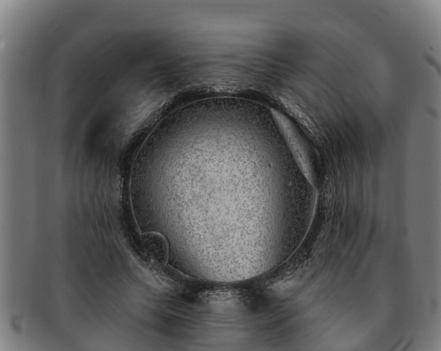 X0000091720639200708311139