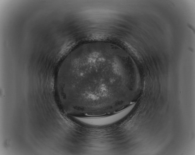 X0000091720640200708311139