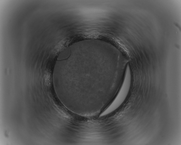 X0000091720641200708311139