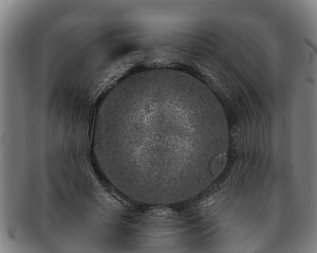 X0000091720642200708311139