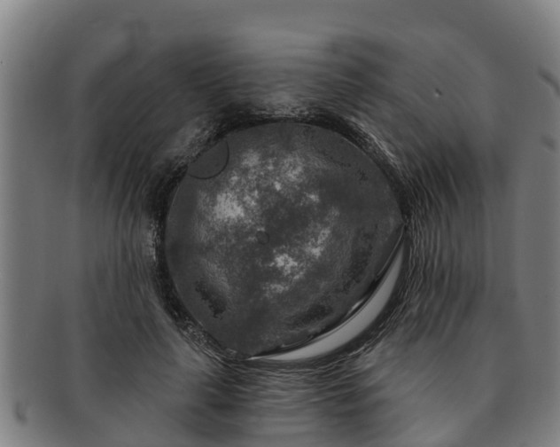 X0000091720643200708311139