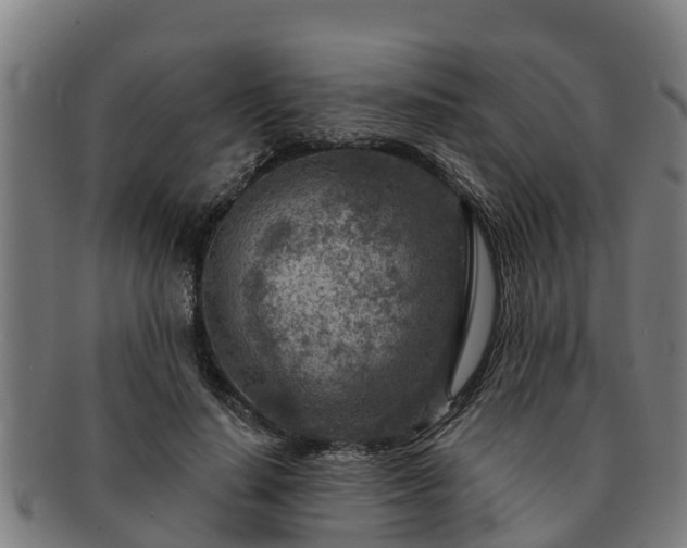 X0000091720644200708311139