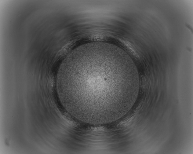 X0000091720645200708311139