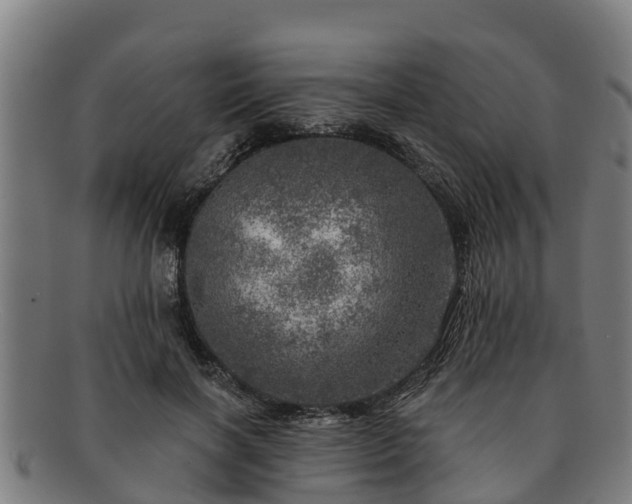 X0000091720646200708311139