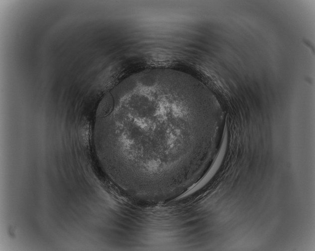 X0000091720647200708311139