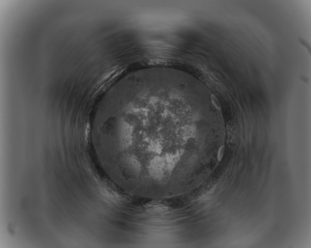 X0000091720648200708311139