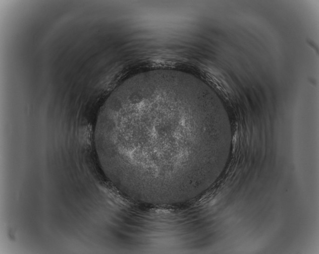 X0000091720649200708311139