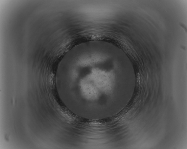 X0000091720650200708311139