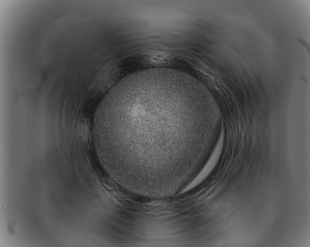 X0000091720651200708311140