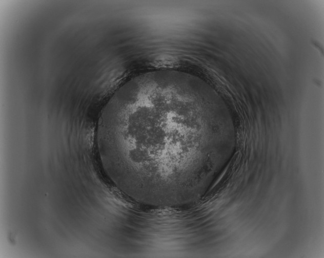 X0000091720652200708311140