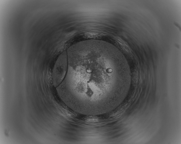 X0000091720653200708311140