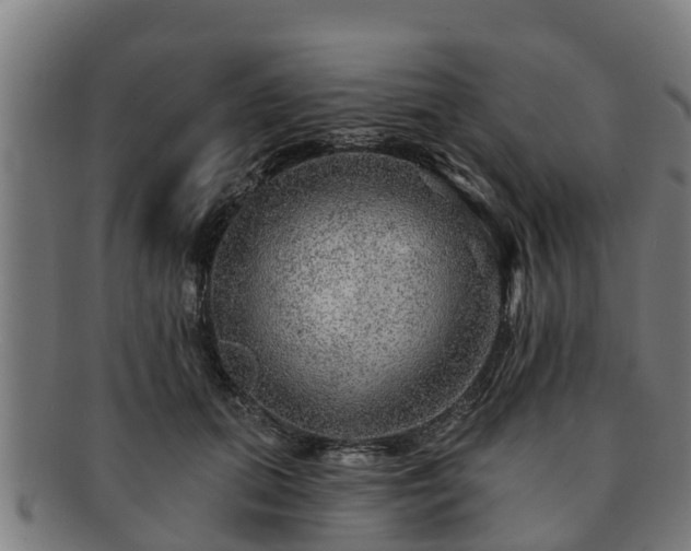 X0000091720655200708311140