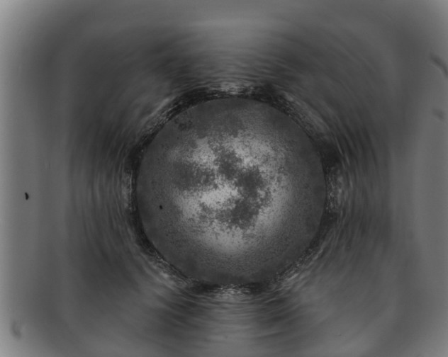 X0000091720656200708311140