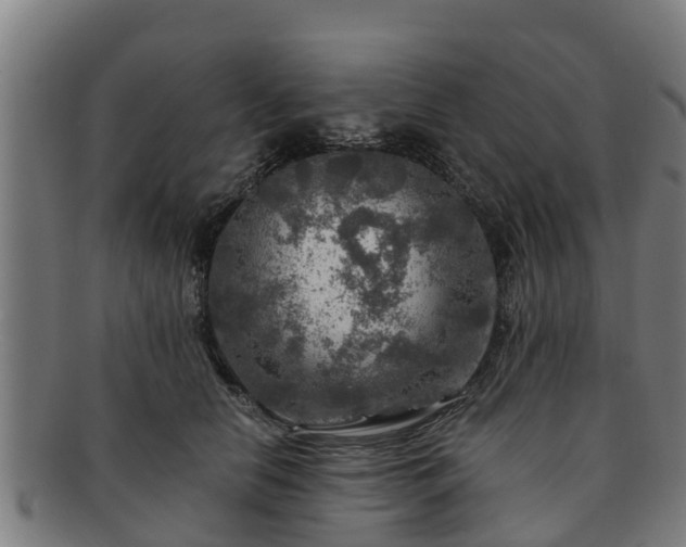 X0000091720658200708311140