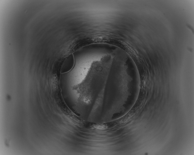 X0000091720659200708311140