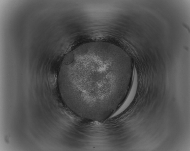 X0000091720660200708311140