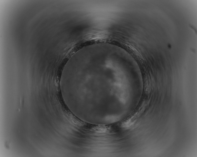 X0000091720661200708311140