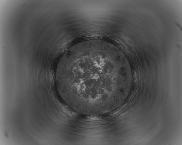 X0000091720662200708311140