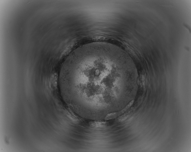 X0000091720664200708311140