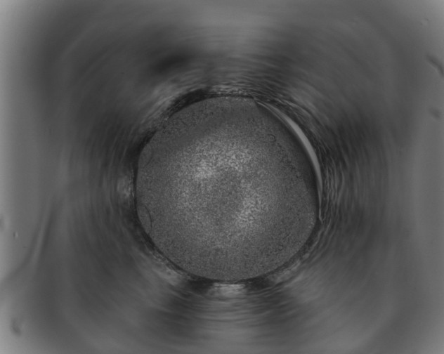 X0000091720665200708311140