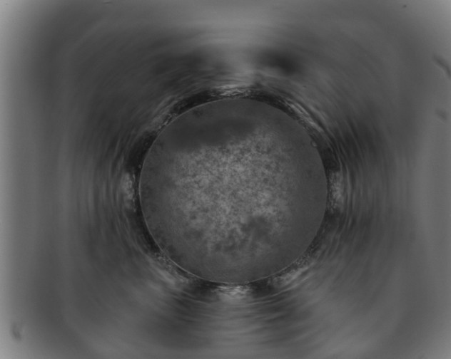 X0000091720667200708311140