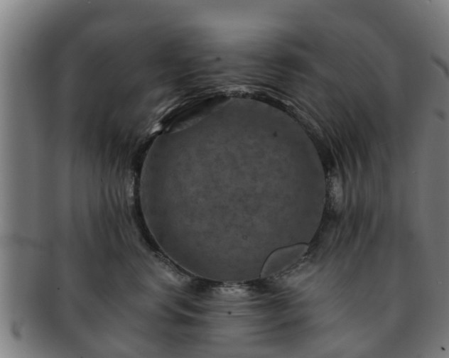 X0000091720668200708311140