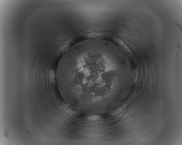 X0000091720669200708311140