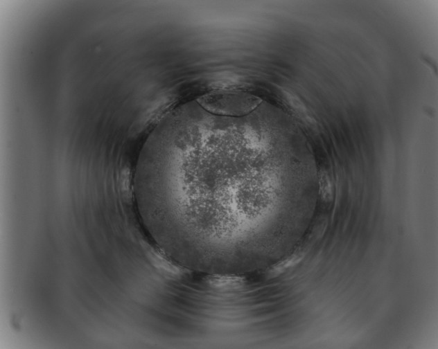 X0000091720670200708311140