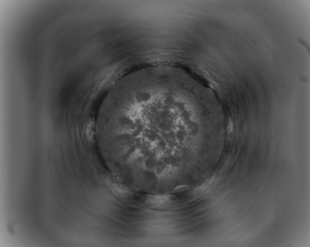 X0000091720671200708311140