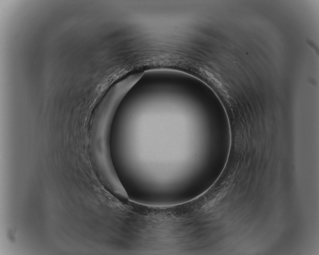 X0000091720673200708311139