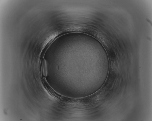 X0000091720674200708311139