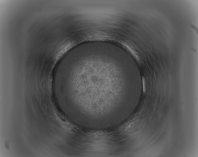 X0000091720675200708311139