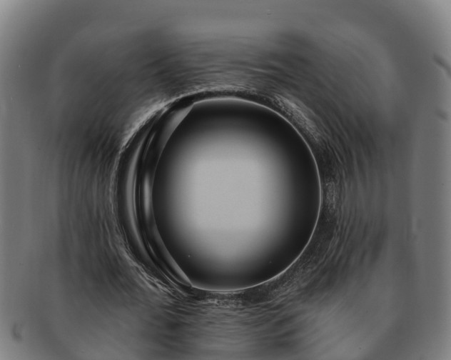 X0000091720676200708311139