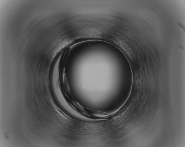 X0000091720677200708311139