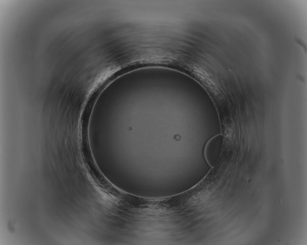 X0000091720678200708311139