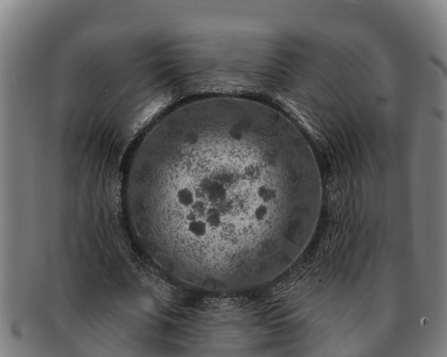 X0000091720679200708311139