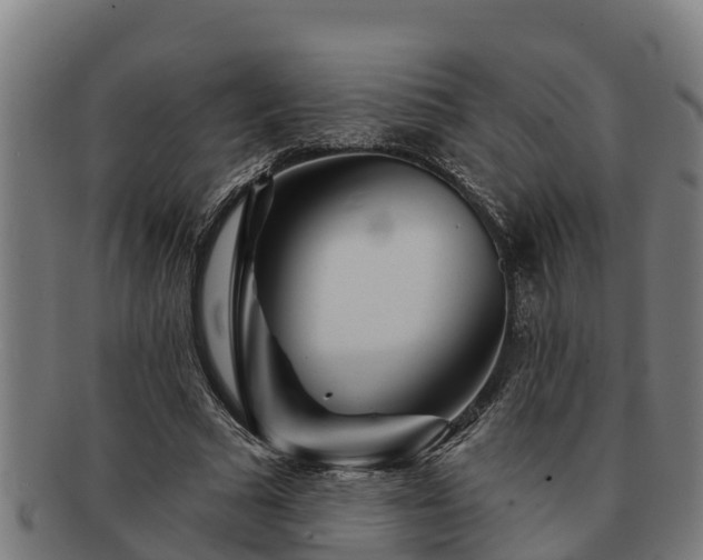 X0000091720681200708311139