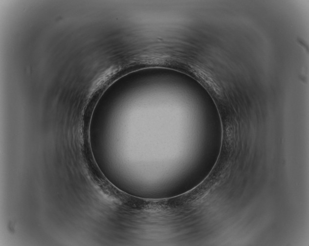 X0000091720682200708311139