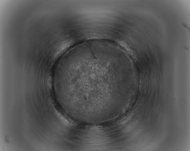 X0000091720683200708311139