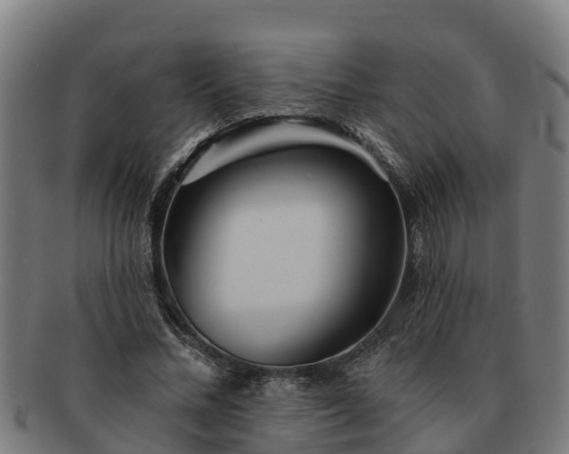 X0000091720684200708311139