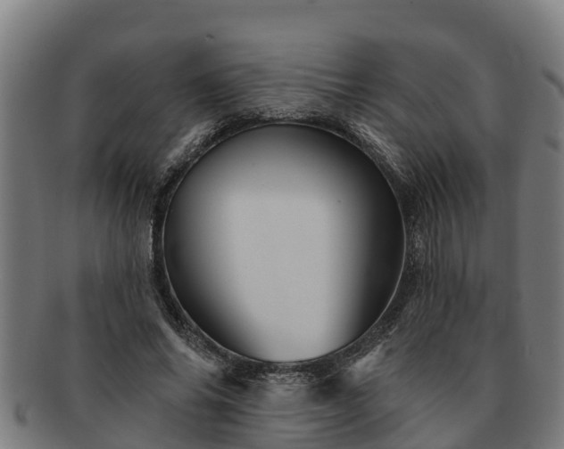 X0000091720686200708311139